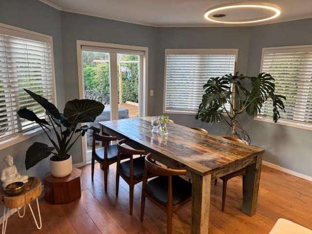 16 Te Ra Road Point Chevalier_3