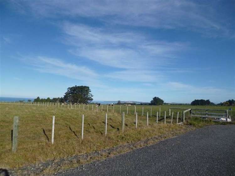 20d Kanuka Lane Hapuku_14