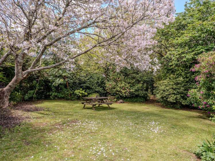 372 Te Ahu Ahu, Waimate North Kerikeri_5