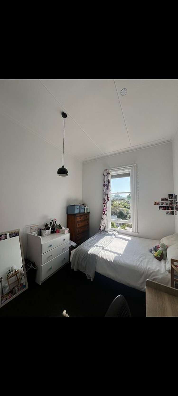 9 Grosvenor Terrace Wadestown_10