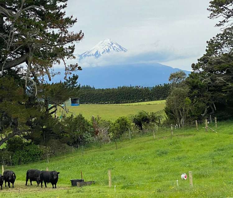 116 Clifford Road Eltham_44