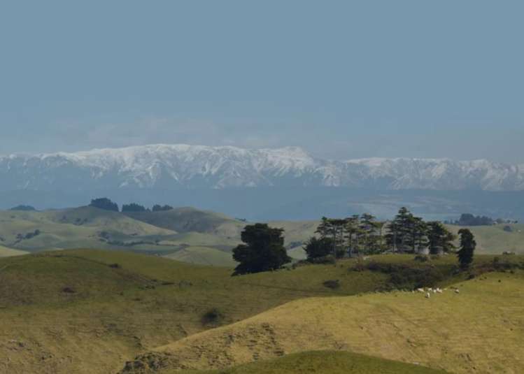 119 Puketitiri Road_0