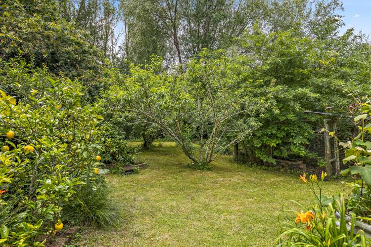 968 Kaipara Flats Road Kaipara Flats_21