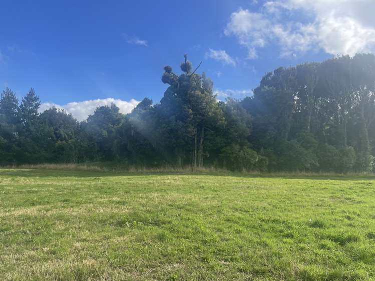 398 Wiremu Road Te Kiri_5