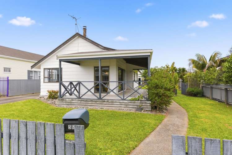 56 Wilton Street Levin_20