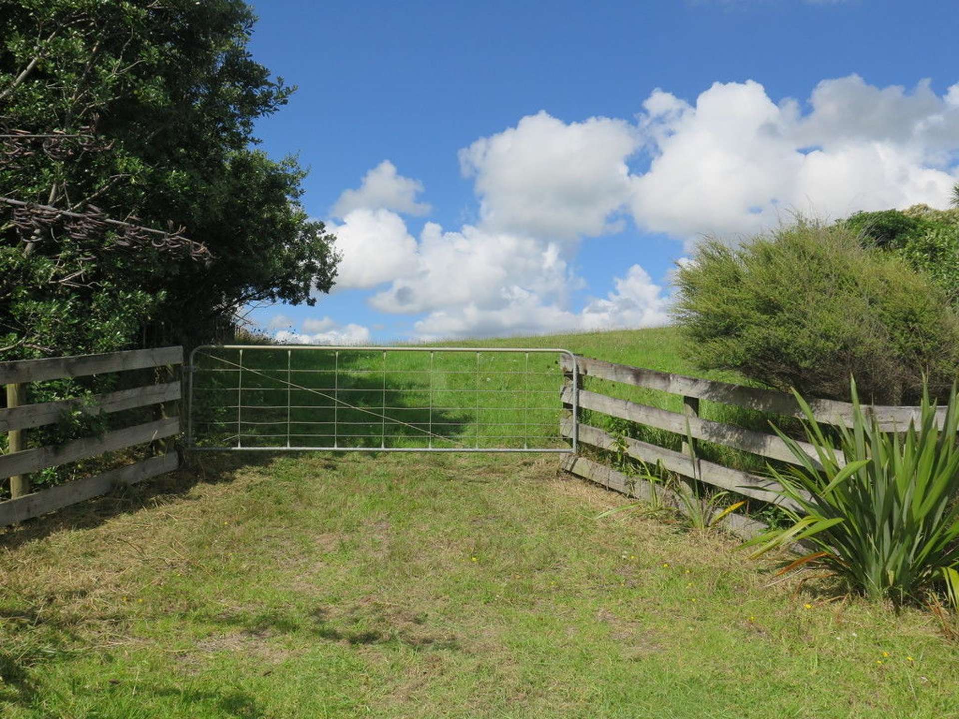 447 Wainui Road Raglan_0