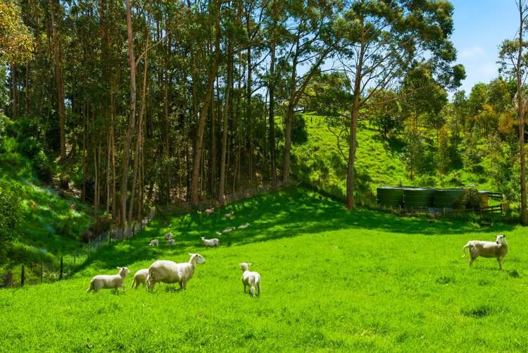 340D Ngarara Road Waikanae_14