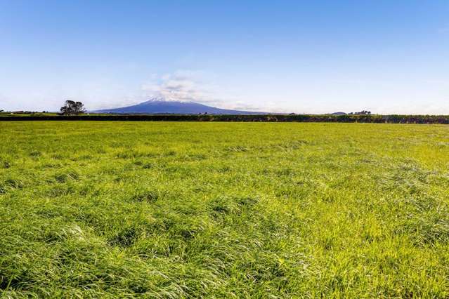 THE GREEN, GREEN GRASS OF HOME