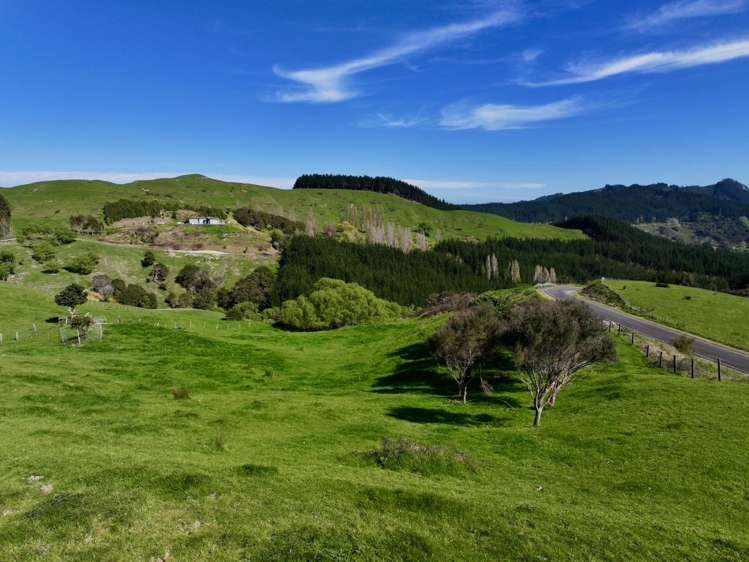 Lot 6 DP 409779 Gaddums Hill Road Outer Kaiti_12