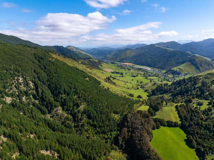 2323 Motueka Valley Highway Ngatimoti_10