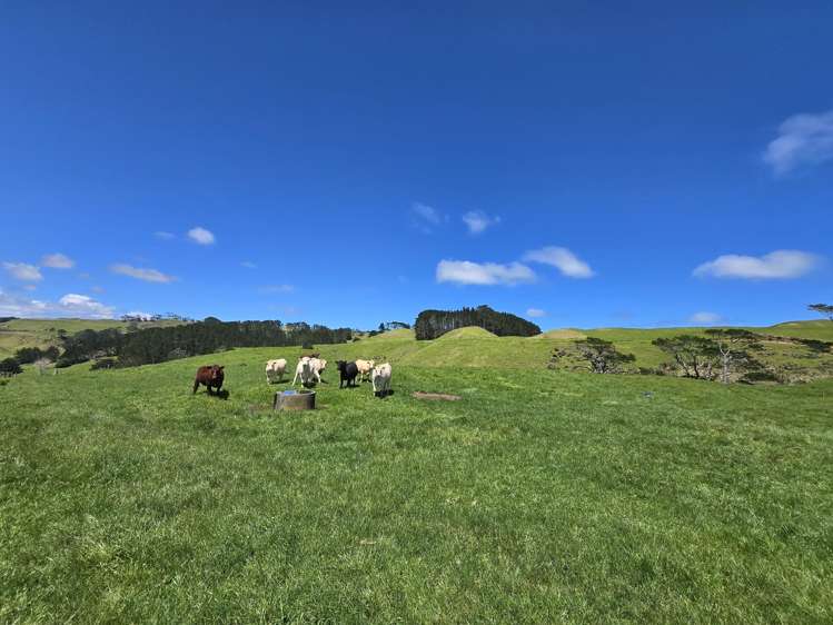1090 Te Maire Road Dargaville_9