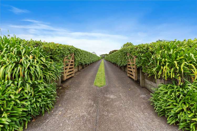 168 Portsmouth Road Bombay_26