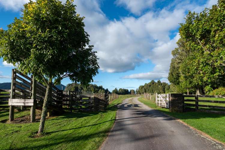 73 Te Manu Road Ngongotaha Valley_41