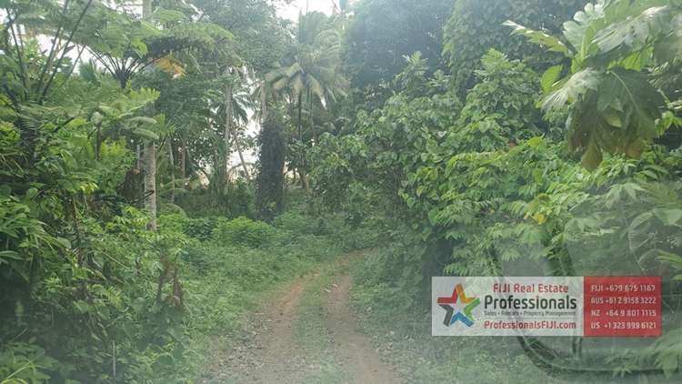 Address withheld Savusavu_25