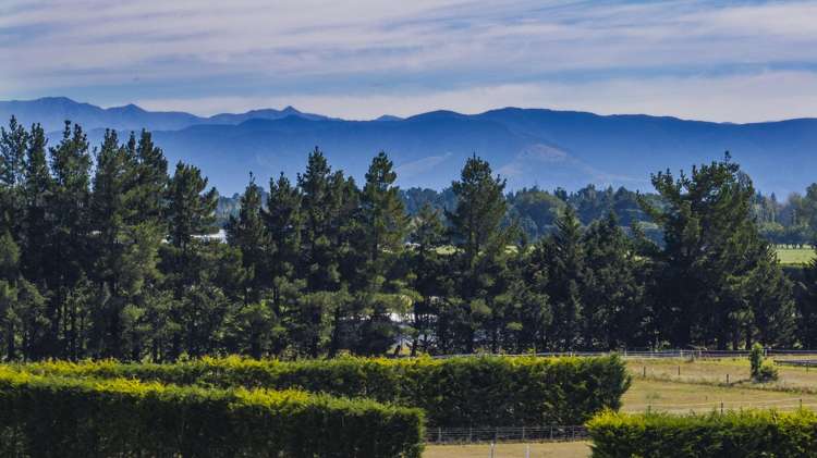 1897 South Eyre Road West Eyreton_24