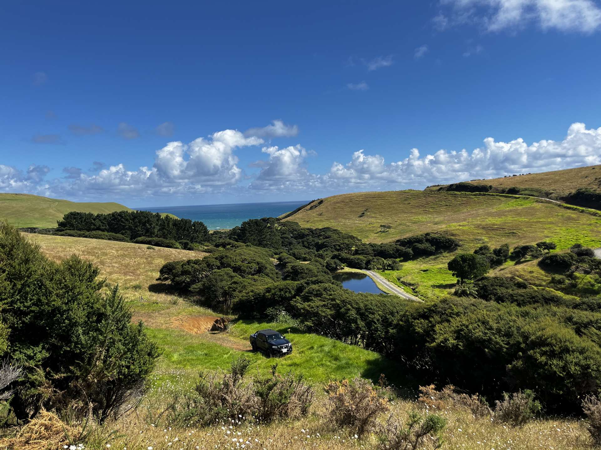 1517 Whaanga Road Raglan_0