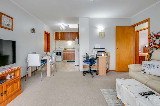 58 Freyberg Avenue Tamatea_1