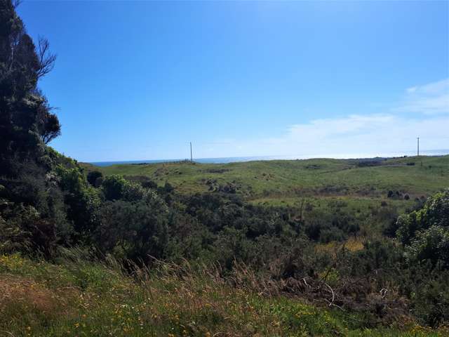 Lot 2 Virgin Flat Road Charleston_3