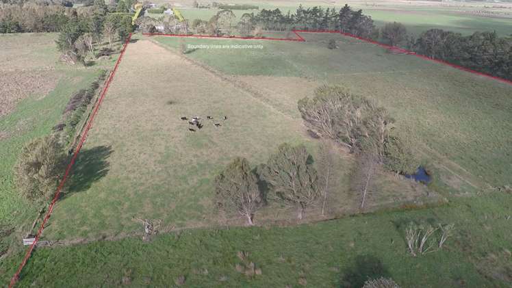 50B Painua Road Hokio Beach_9