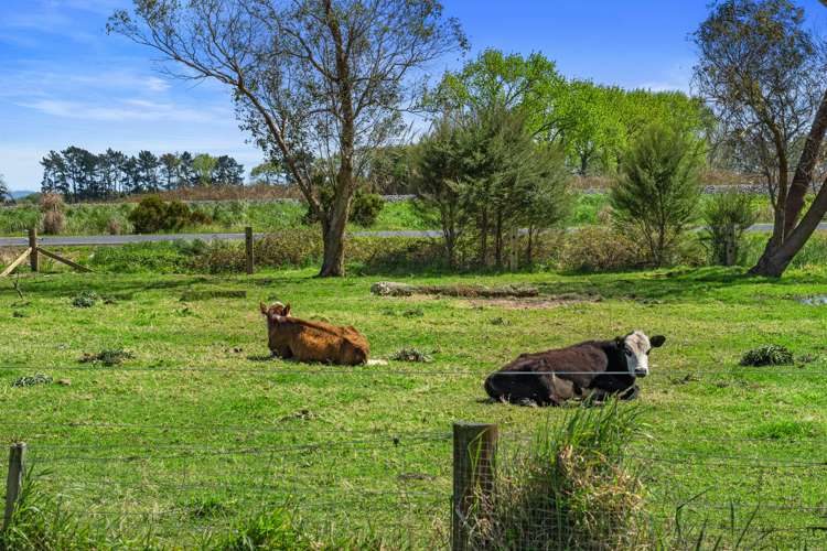 297 Eureka Road Eureka_23