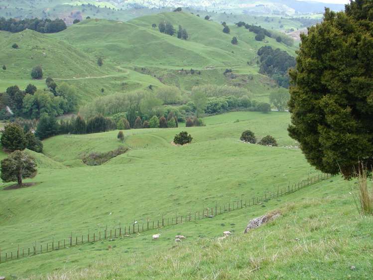 1742 Taringamotu Road Taringamotu_7