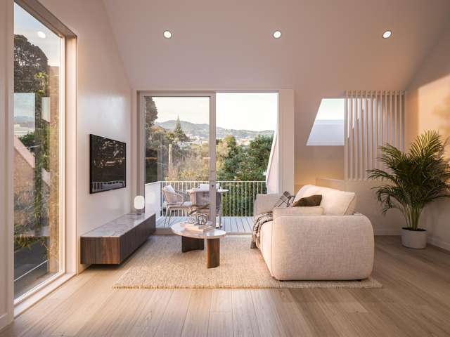 323 Adelaide Road Newtown_1