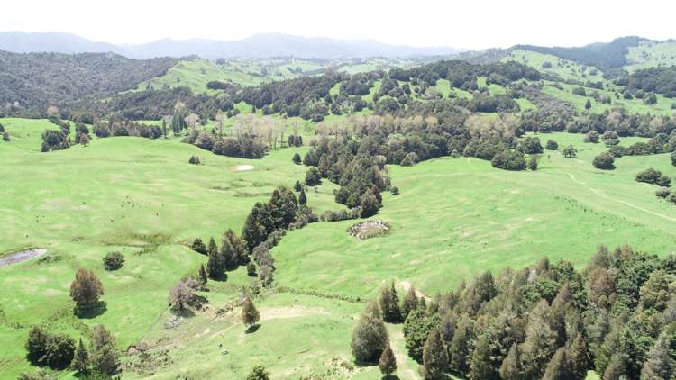 Irvine Road Ruatangata_0