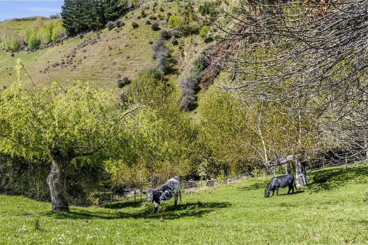 583 Hill Street South Hope_30