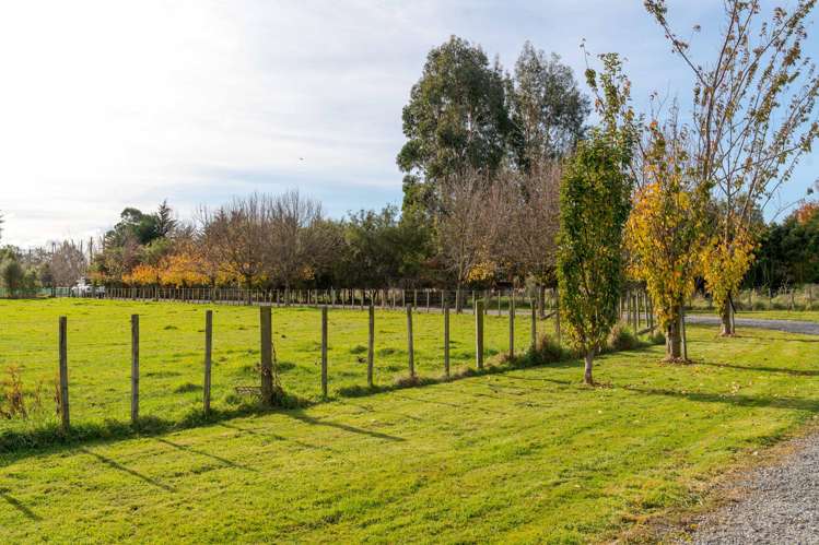 14A Willow Park Drive Masterton_7