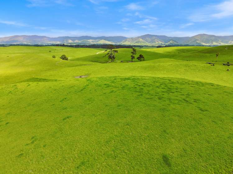 268 Kiritaki Road Dannevirke_1