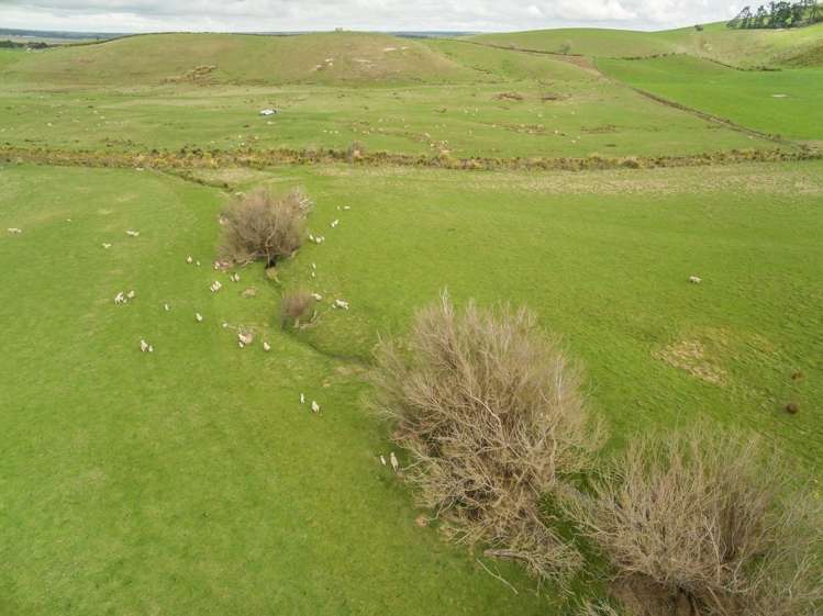 2/449 Hororata Road Coalgate_7