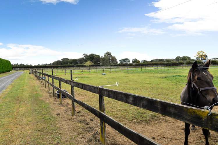 474 Bruntwood Road Tamahere_10