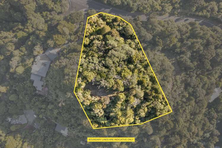 910 West Coast Road Waiatarua_14