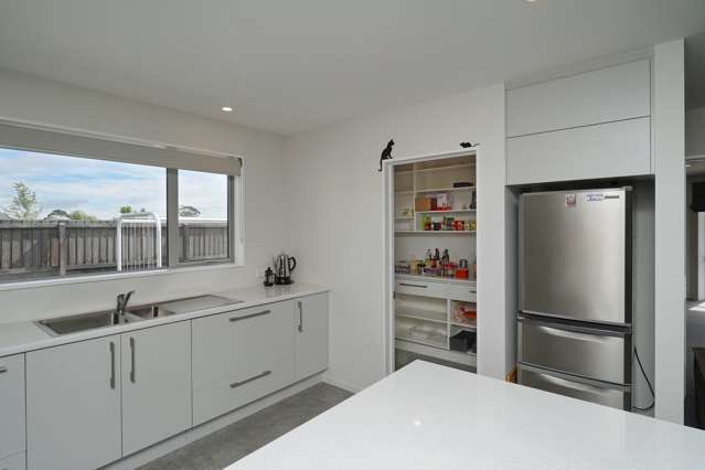 16 Cassini Place Leeston_3