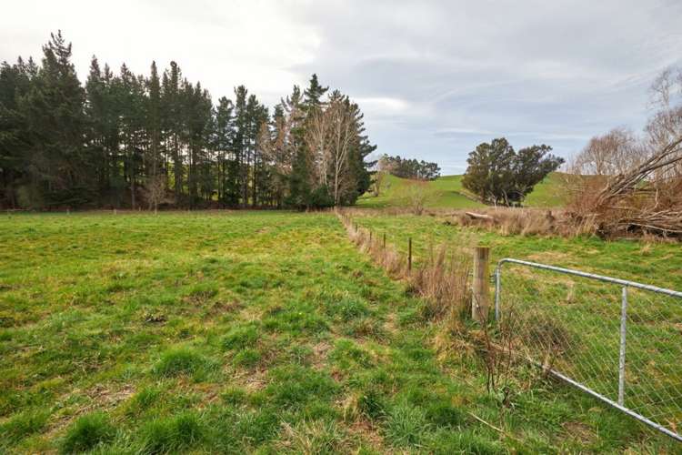 98 Fosters Road Cheviot_9