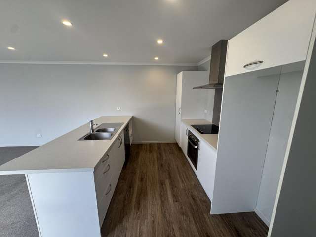 17 Vildebeest Street Halswell_1