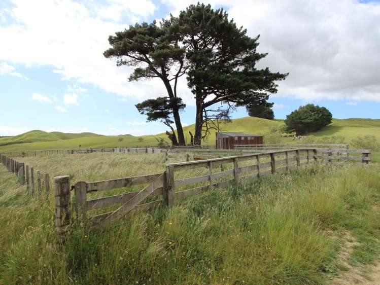 127 North Road Eketahuna_19