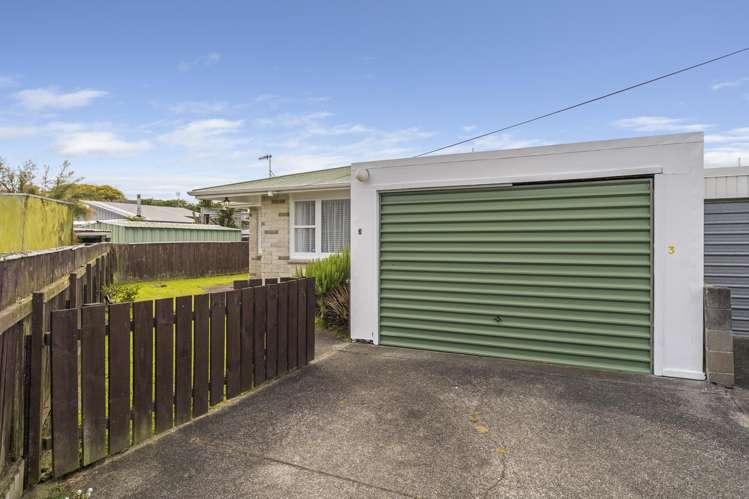 3 Alice Place Levin_15