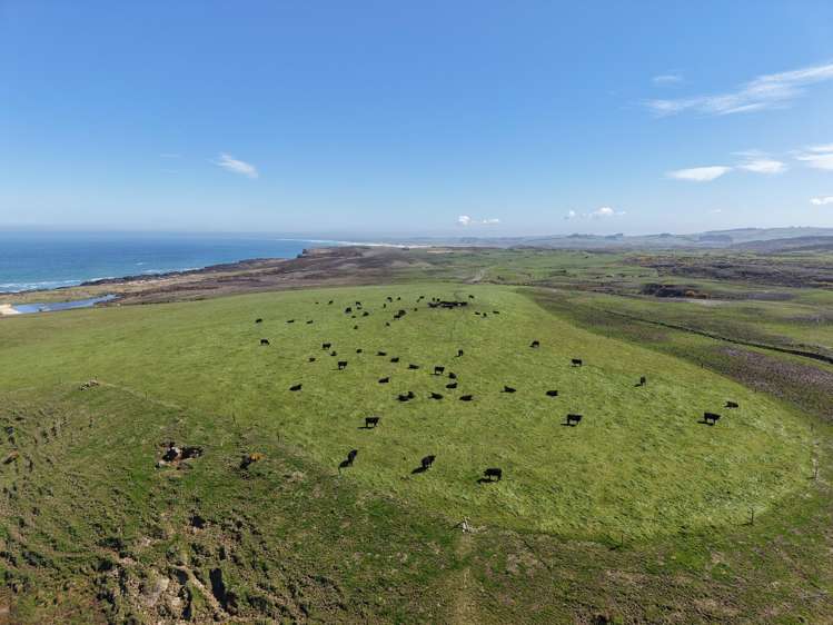 769 Slope Point Road Haldane_1