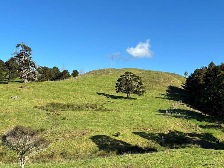 Paparoa Road Mangapai_6