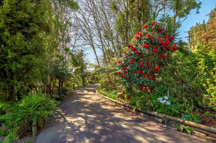 69 Butler Road Whakatane_20