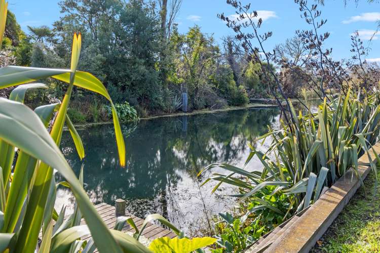 62 Lucas Street Riversdale_42