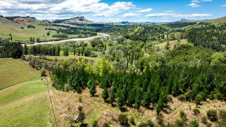 Lot 2, DP 524856, Raratu Road Kahuranaki_6