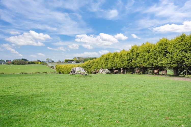 567 Kennington Waimatua Road Waimatua_16