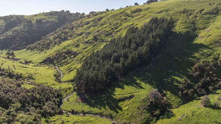 80-90 Seftons Road Little Akaloa_11