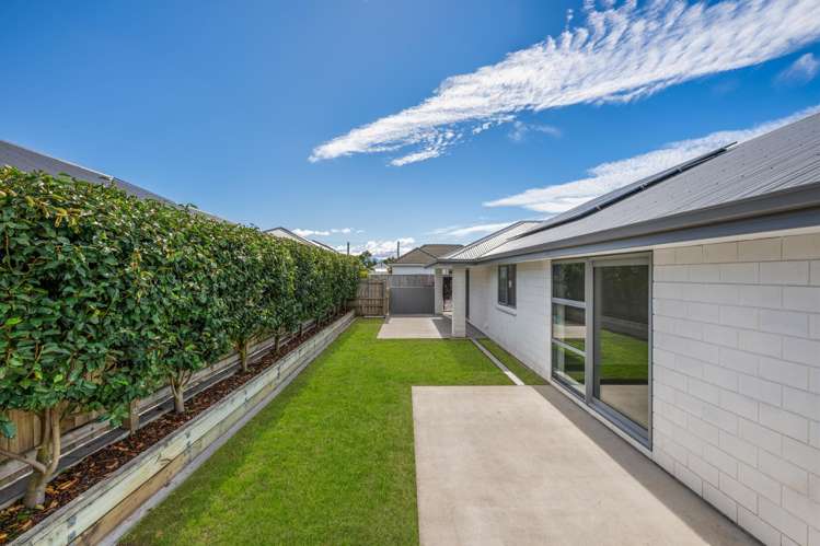 23B Brewer Street Blenheim_9