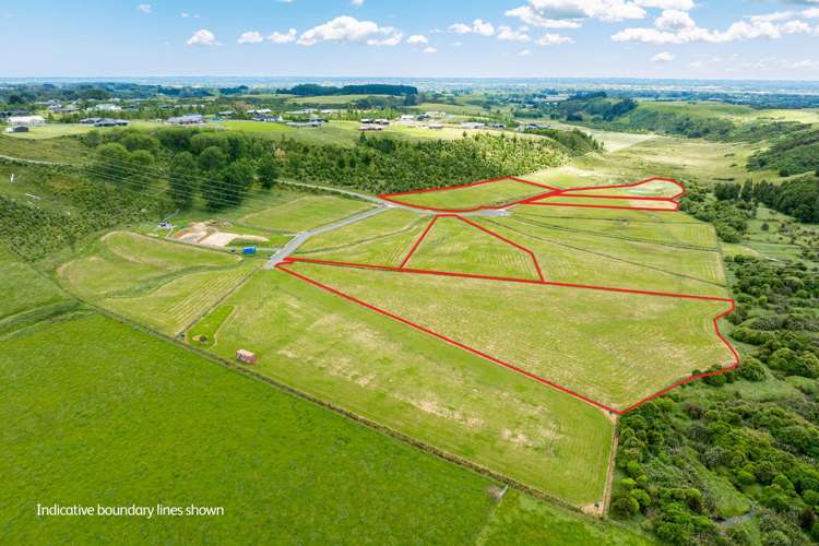 42 Edendale Drive Aokautere_2