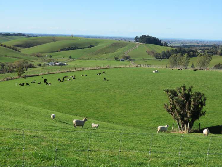 60 Woodside Road Geraldine_1