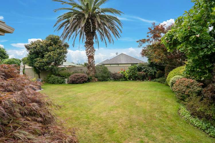 14 Alba Place Cambridge_20