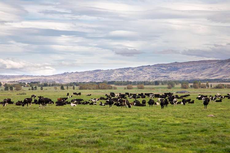 263 Puketoi Runs Road Puketoi_9